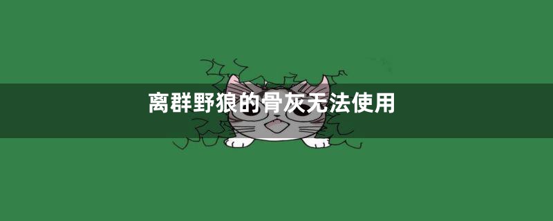 离群野狼的骨灰无法使用