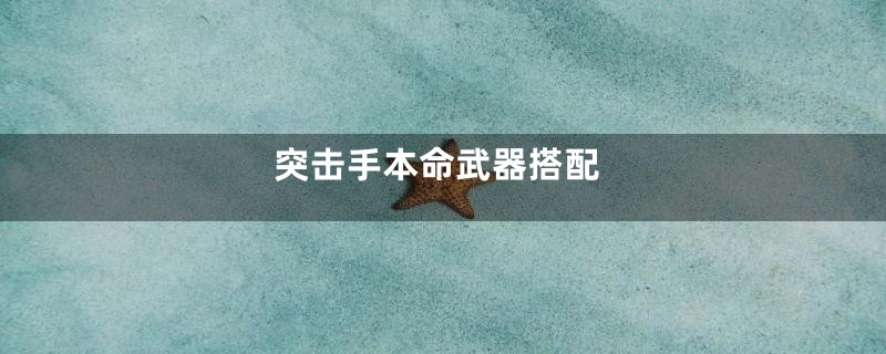 突击手本命武器搭配