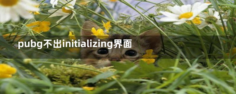 pubg不出initializing界面