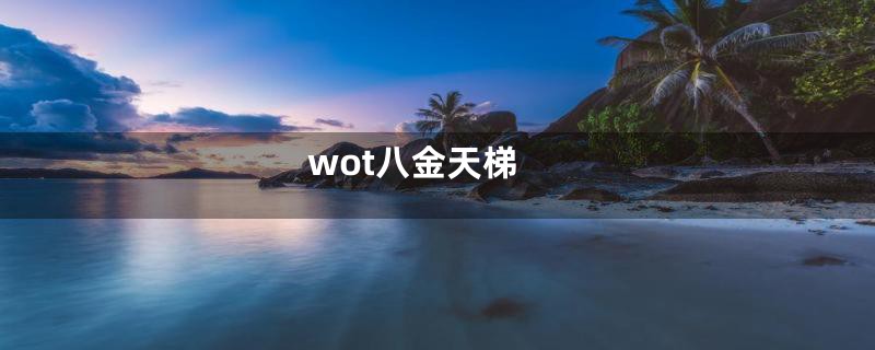 wot八金天梯