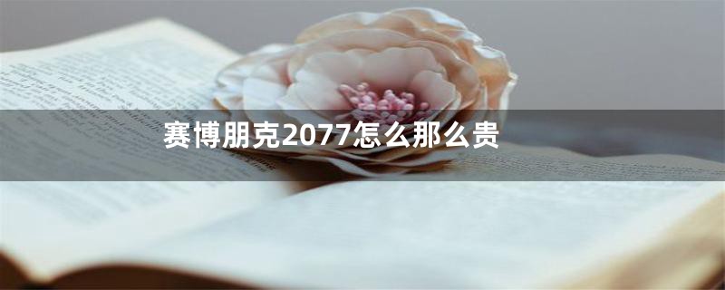 赛博朋克2077怎么那么贵