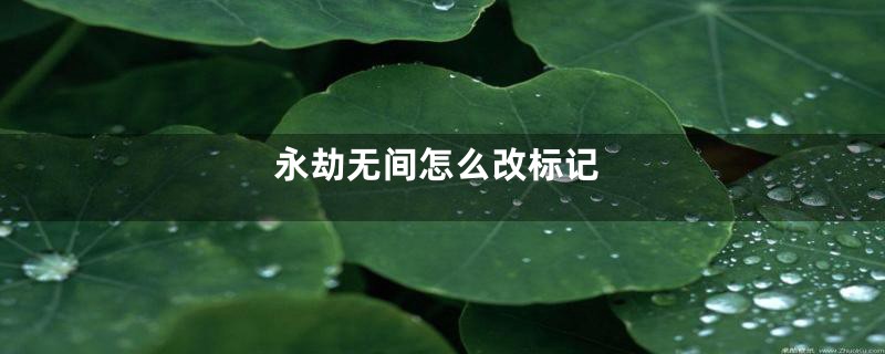 永劫无间怎么改标记