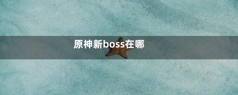 原神新boss在哪