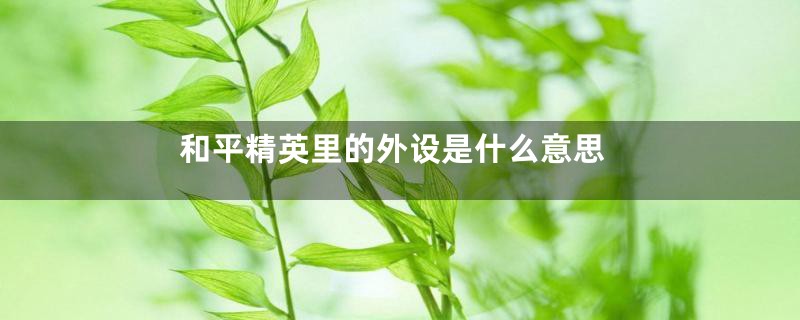 和平精英里的外设是什么意思