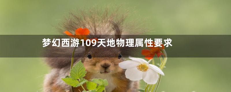 梦幻西游109天地物理属性要求