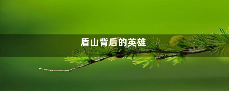 盾山背后的英雄