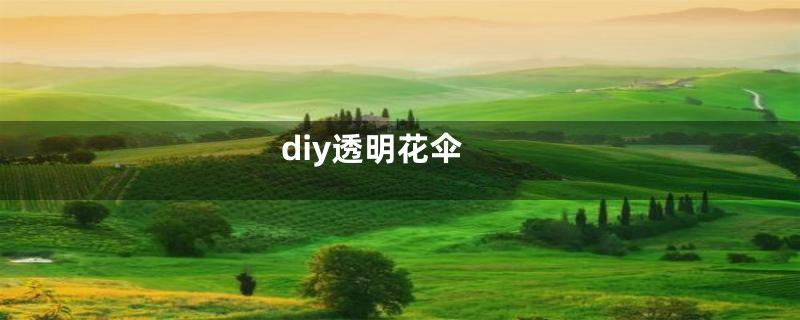 diy透明花伞