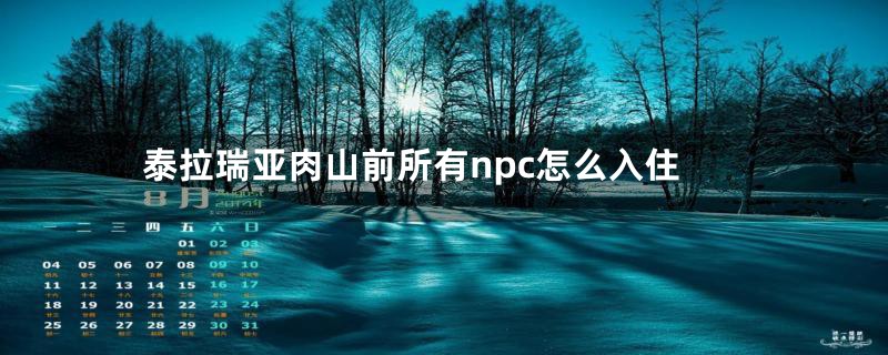 泰拉瑞亚肉山前所有npc怎么入住