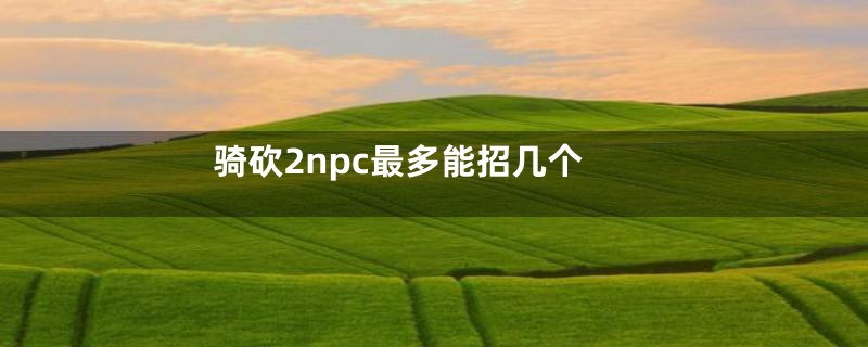 骑砍2npc最多能招几个