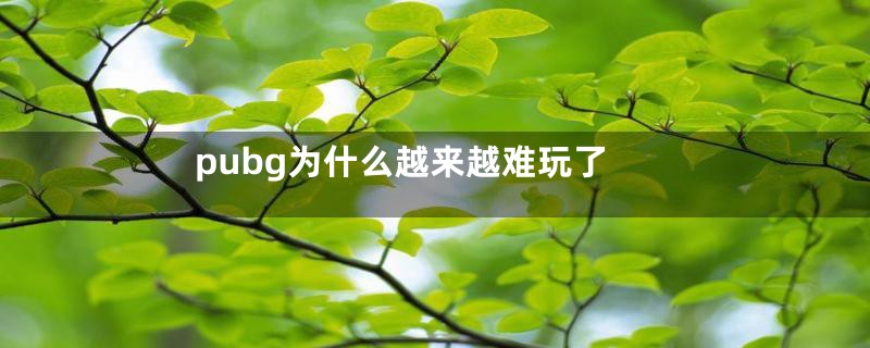 pubg为什么越来越难玩了