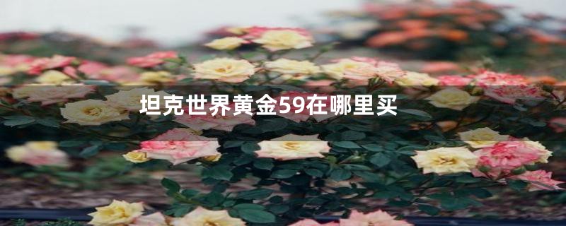 坦克世界黄金59在哪里买