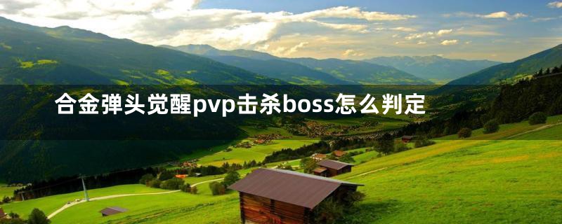 合金弹头觉醒pvp击杀boss怎么判定