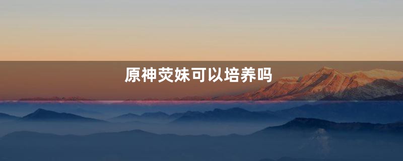 原神荧妹可以培养吗