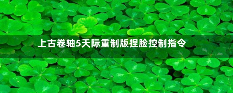 上古卷轴5天际重制版捏脸控制指令