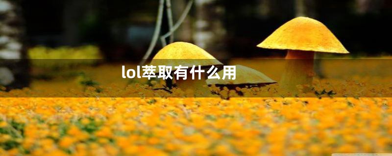 lol萃取有什么用