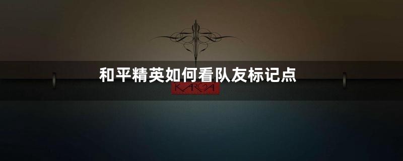 和平精英如何看队友标记点