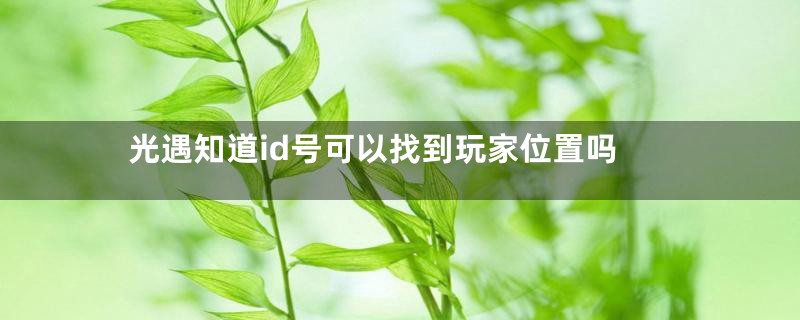 光遇知道id号可以找到玩家位置吗