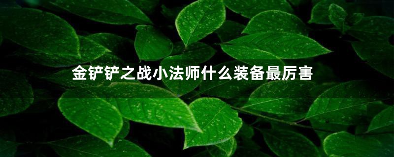 金铲铲之战小法师什么装备最厉害