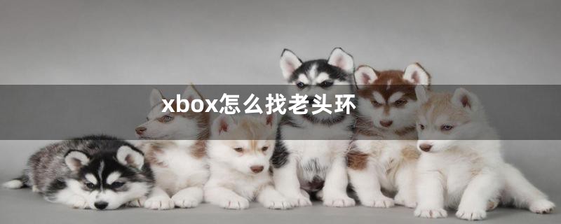 xbox怎么找老头环