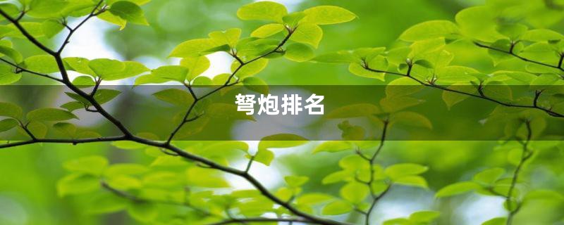 弩炮排名