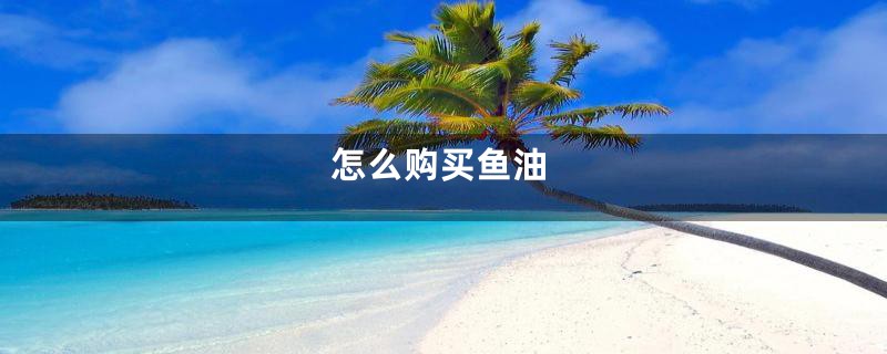 怎么购买鱼油