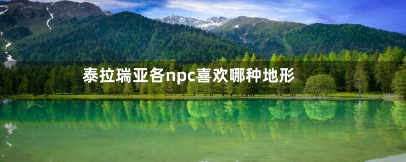 泰拉瑞亚各npc喜欢哪种地形