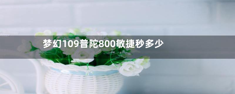 梦幻109普陀800敏捷秒多少