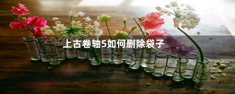 上古卷轴5如何删除袋子