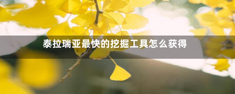 泰拉瑞亚最快的挖掘工具怎么获得