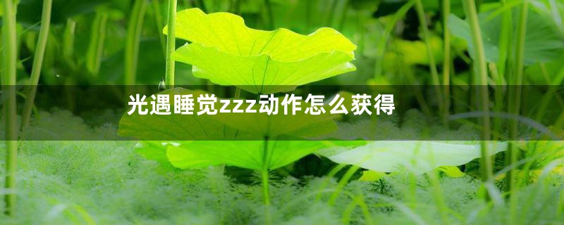 光遇睡觉zzz动作怎么获得