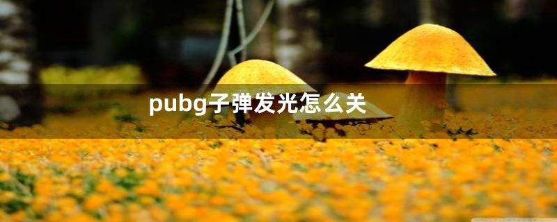 pubg子弹发光怎么关