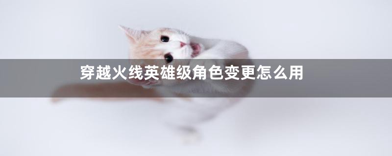 穿越火线英雄级角色变更怎么用