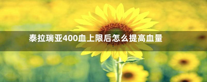 泰拉瑞亚400血上限后怎么提高血量