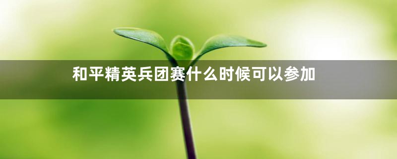 和平精英兵团赛什么时候可以参加