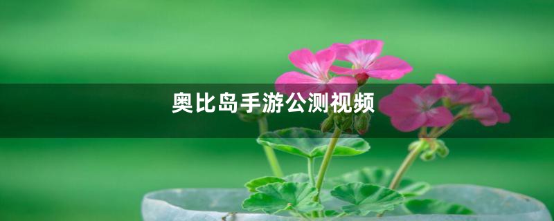 奥比岛手游公测视频