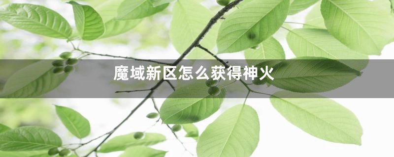 魔域新区怎么获得神火