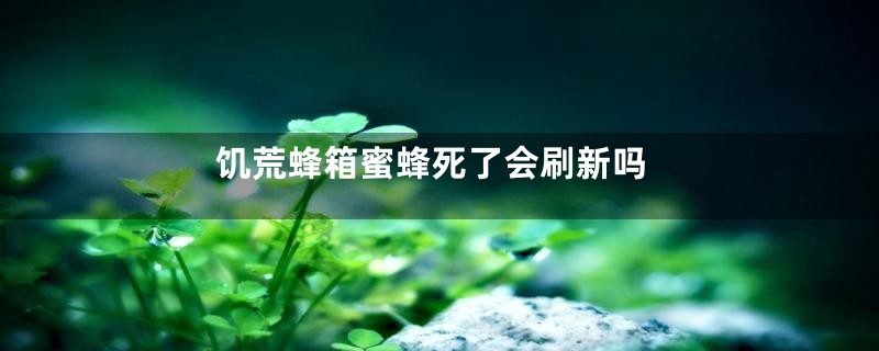 饥荒蜂箱蜜蜂死了会刷新吗