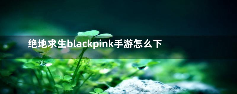 绝地求生blackpink手游怎么下