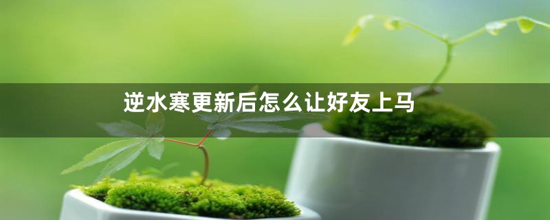 逆水寒更新后怎么让好友上马