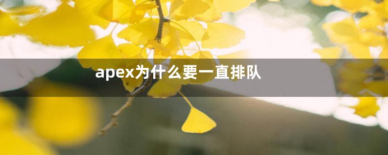 apex为什么要一直排队