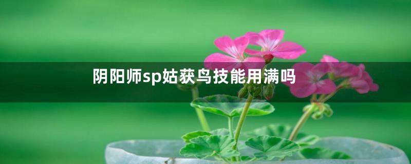 阴阳师sp姑获鸟技能用满吗