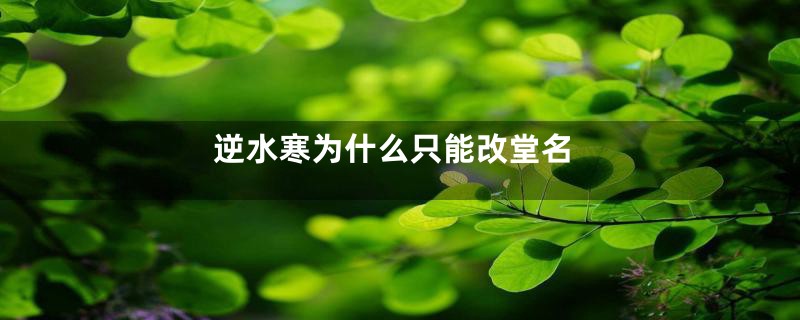 逆水寒为什么只能改堂名