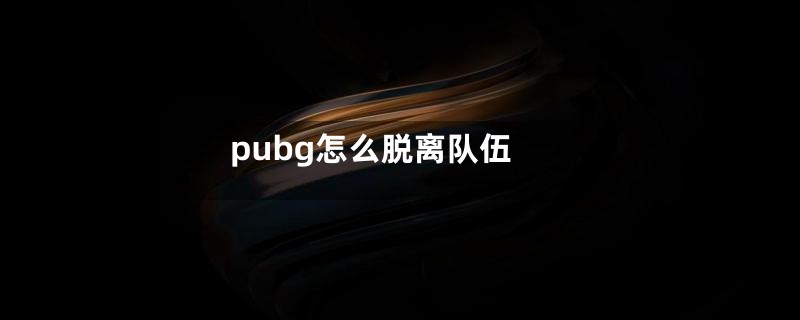 pubg怎么脱离队伍