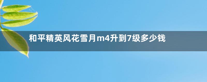 和平精英风花雪月m4升到7级多少钱