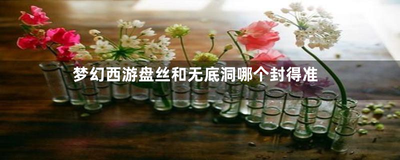 梦幻西游盘丝和无底洞哪个封得准