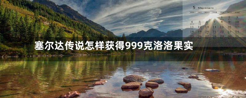 塞尔达传说怎样获得999克洛洛果实