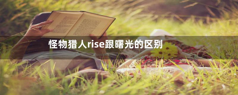 怪物猎人rise跟曙光的区别