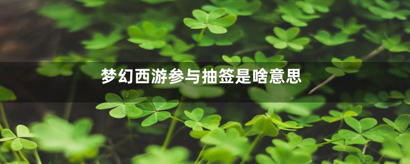 梦幻西游参与抽签是啥意思