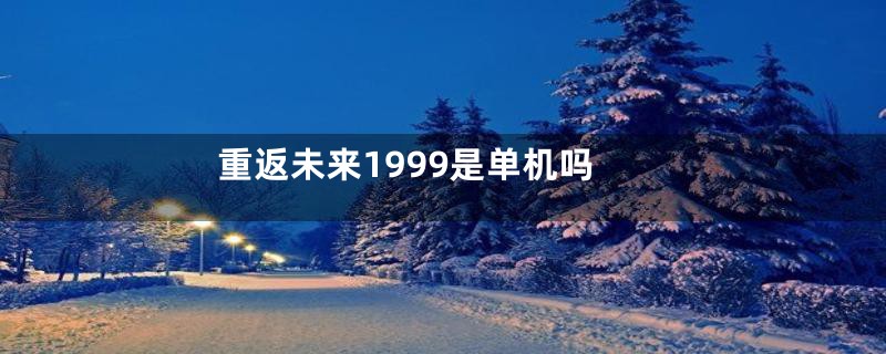 重返未来1999是单机吗