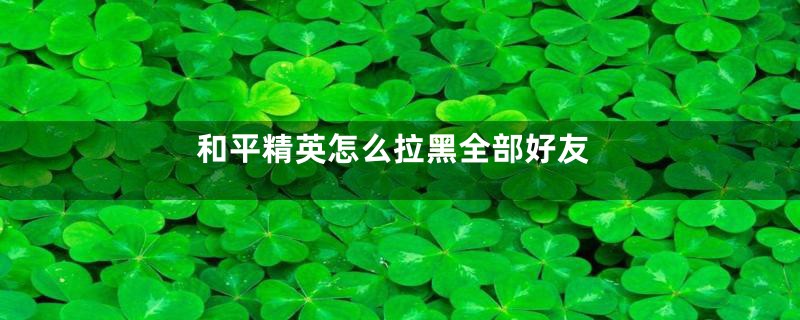 和平精英怎么拉黑全部好友